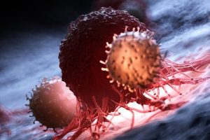 دانشمندان کشف کردند که مسدود کردن یک پروتئین، رشد سرطان را در موش‌ها کند می‌کند