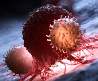 دانشمندان کشف کردند که مسدود کردن یک پروتئین، رشد سرطان را در موش‌ها کند می‌کند