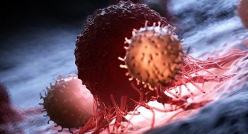 دانشمندان کشف کردند که مسدود کردن یک پروتئین، رشد سرطان را در موش‌ها کند می‌کند